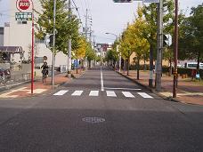 写真:補助幹線街路
