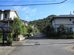 写真：城美台の風景