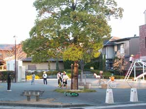 写真：三笠公園愛園会