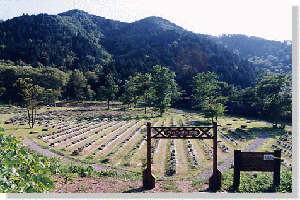 写真：ふれあいの森・四季の森センター