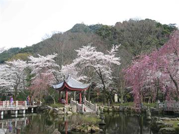 写真：日中友好庭園