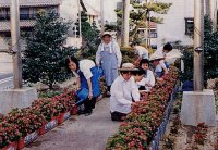 写真：ふれあい花壇