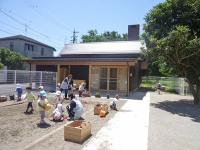 こばとの森どんぐり保育園