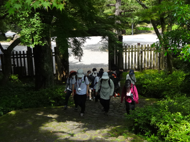 写真：岐阜公園での健康ウオーキング