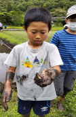 写真：子どもとオケラ