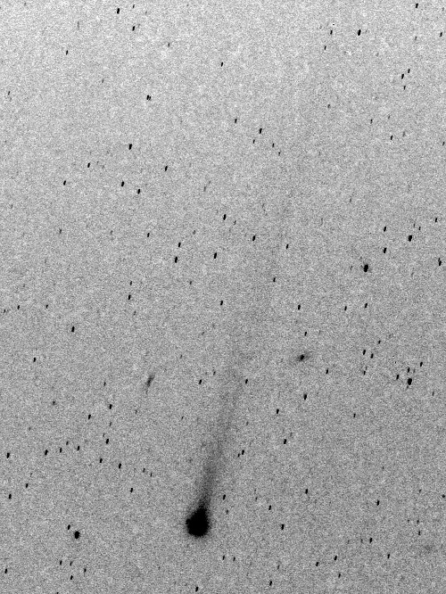 アイソン彗星のコントラスト調整後の写真