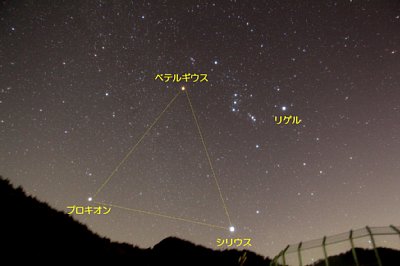 冬の星空の写真