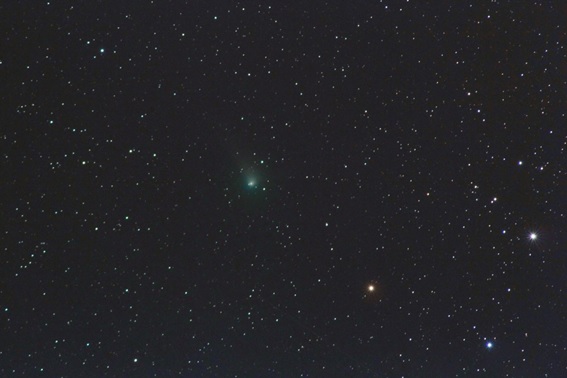 ジョンソン彗星の写真