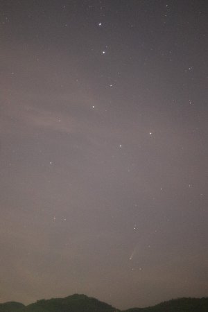 ネオワイズ彗星の写真