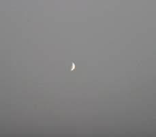 金星の画像