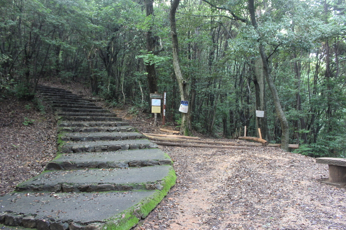 七曲り登山コース写真