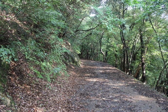 七曲り登山コース写真