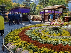 第50回岐阜公園菊人形・菊花展を視察（同所）