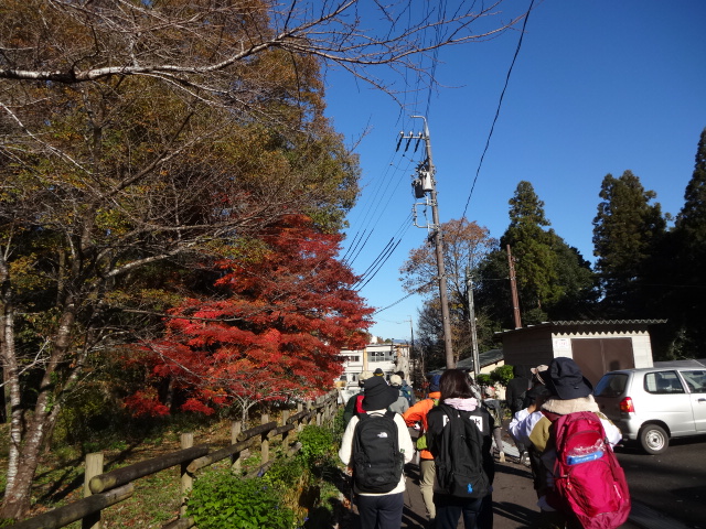 紅葉の中を歩いている