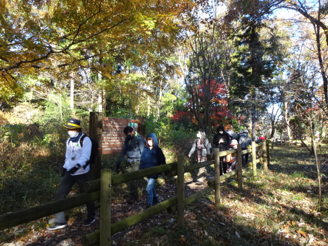 紅葉のそばを歩いている