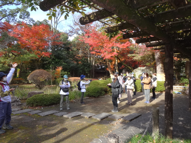 紅葉の中で休憩している