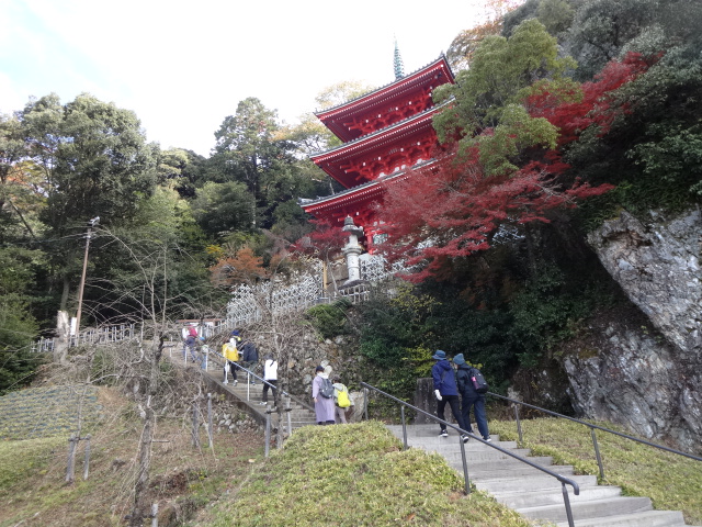 紅葉の中を歩いている
