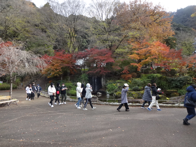 紅葉を見上げながら歩いている