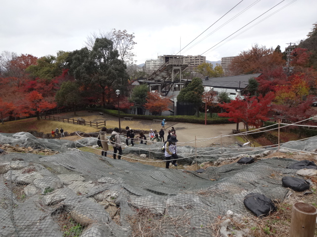 紅葉を見ながら階段を上っている