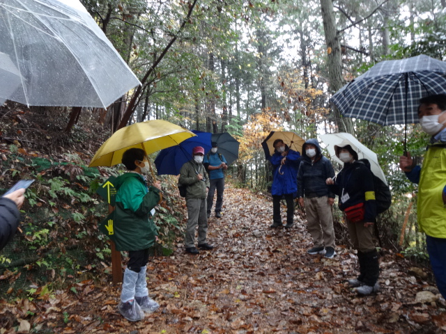 雨の中でのウオーキング