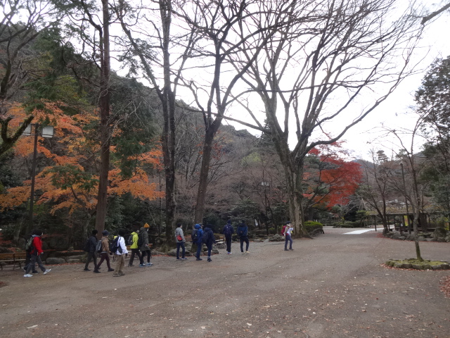 木の横を歩いている