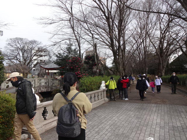 庭園の中を歩いている
