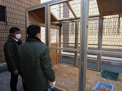 岐阜市文化センター屋上に設置したカラス捕獲わなの捕獲状況を視察