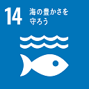 イラスト：目標14　海の豊かさを守ろう