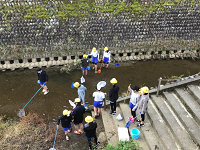 天神川の調査の様子