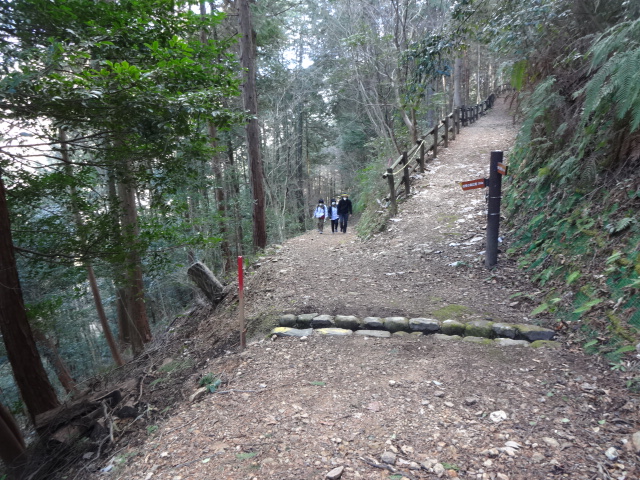 山の自然の中を実践指導者が先頭に立って歩いている