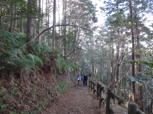 左右を山の植物に囲まれながら3人で歩いている