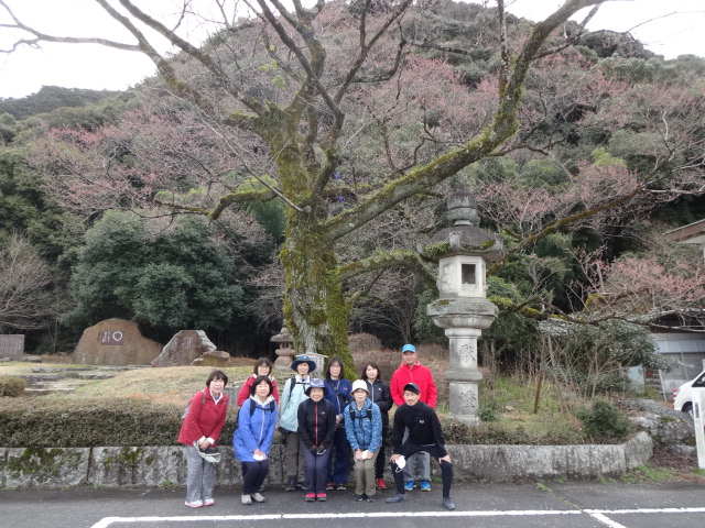 大きな木の前に集まって写真を撮っている