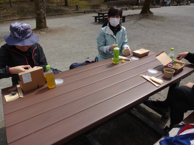 参加者がお弁当を食べている