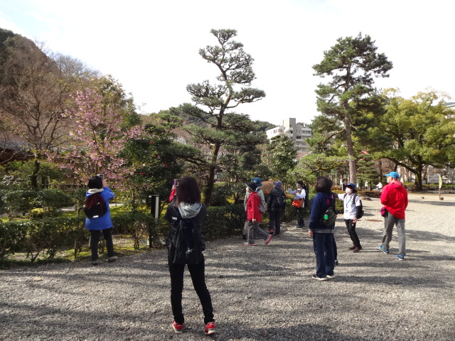 ウオーキング途中で花が咲いていたため立ち止まって撮影している