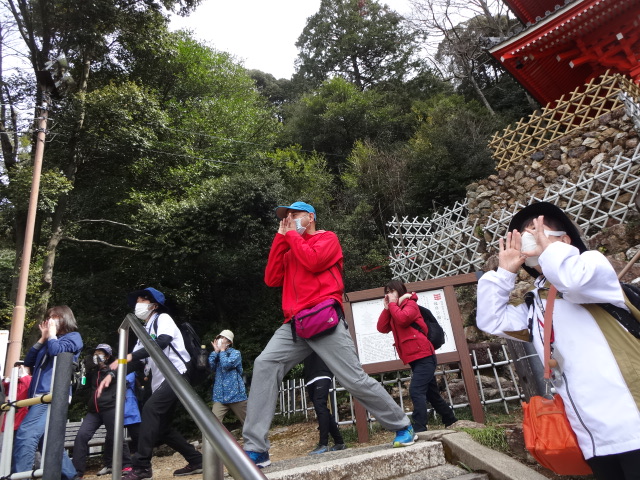 山から大きな声でヤッホと声を出している