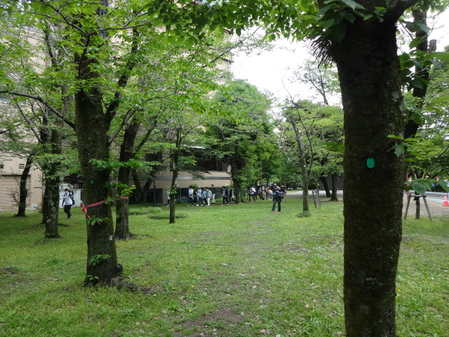 新緑の中を参加者が歩いている様子
