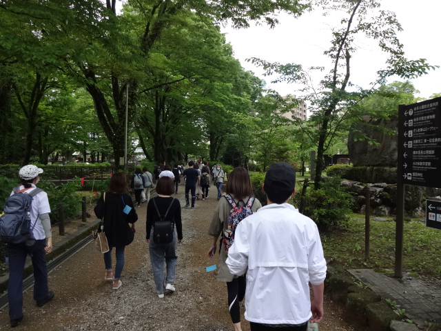 参加者が新緑の中を歩いている