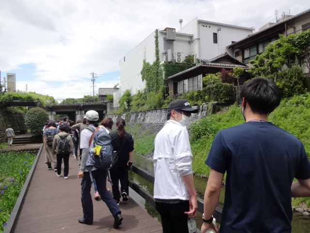 参加者が水辺を歩いている様子