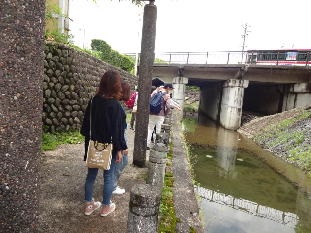 参加者が川をのぞき込んでいる様子