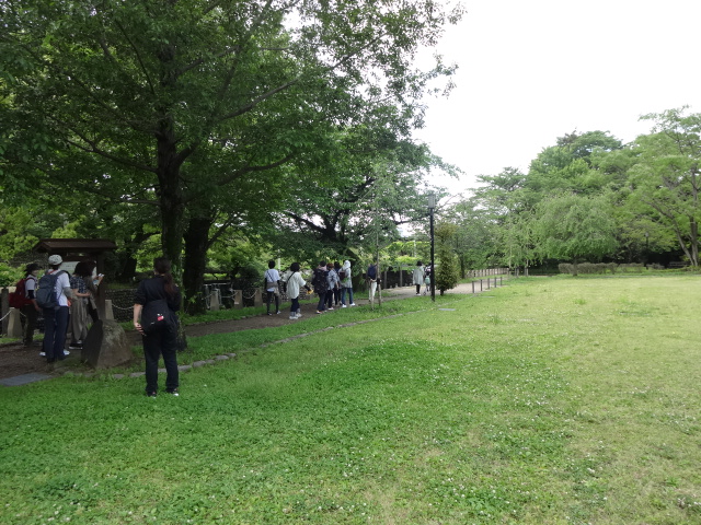 参加者が自然を感じている様子