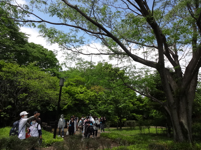 実践指導者が植物について説明している様子