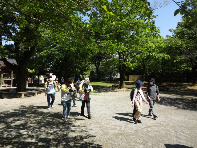 木々の下を参加者が歩いている様子