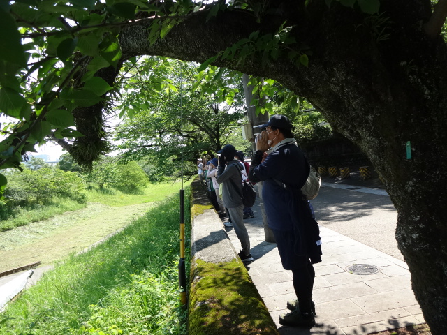 川に向かって大きな声を出している様子