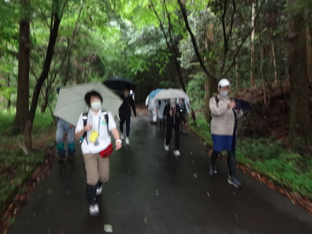 雨の中を歩いている様子