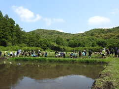 写真：田植え前