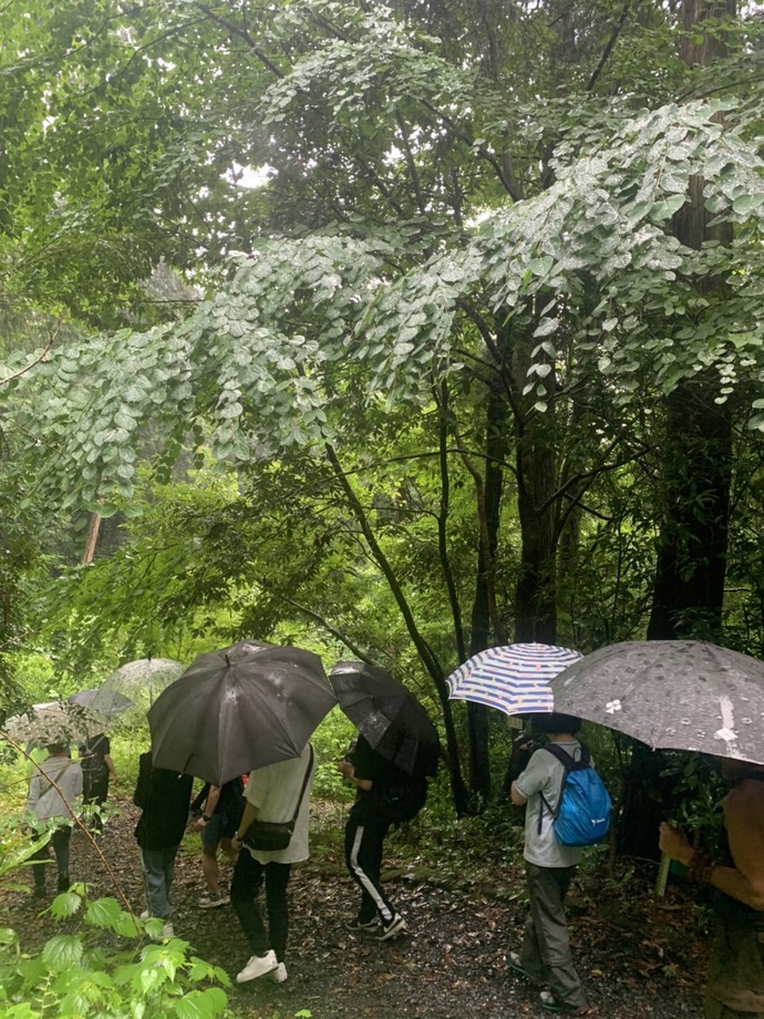 雨の中傘を差して歩いている様子