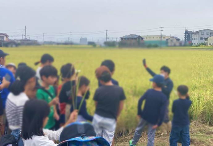 水田見学