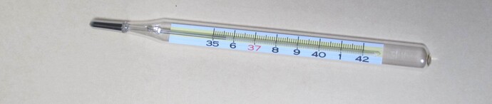 水銀体温計写真