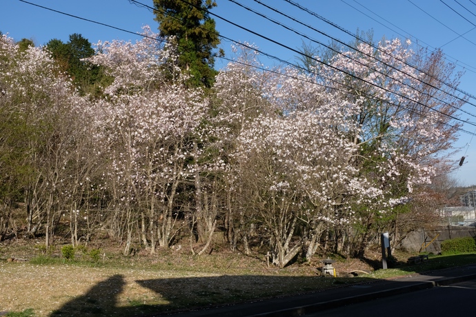 遠景