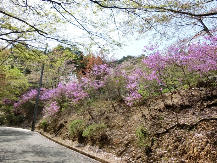 延算寺